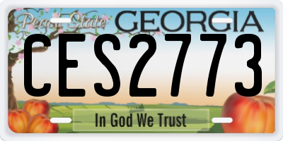 GA license plate CES2773