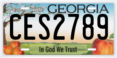 GA license plate CES2789