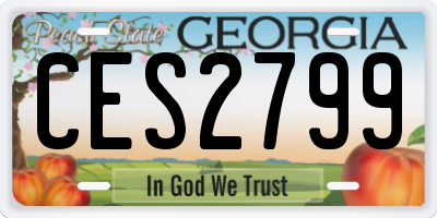 GA license plate CES2799