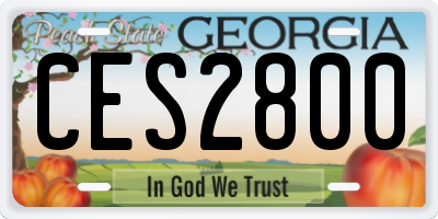 GA license plate CES2800