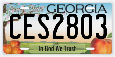 GA license plate CES2803