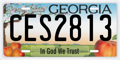 GA license plate CES2813