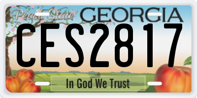GA license plate CES2817