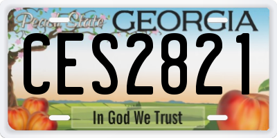 GA license plate CES2821