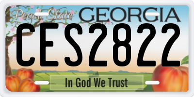 GA license plate CES2822