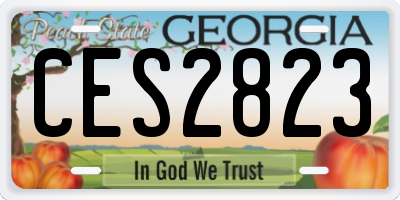 GA license plate CES2823