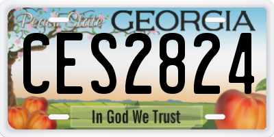 GA license plate CES2824