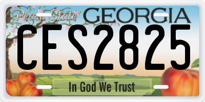 GA license plate CES2825