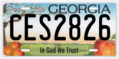 GA license plate CES2826