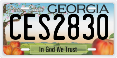 GA license plate CES2830