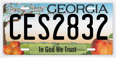 GA license plate CES2832