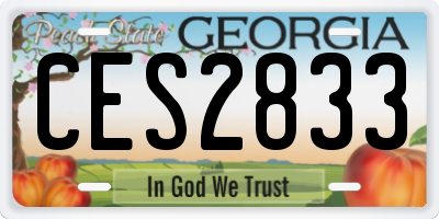 GA license plate CES2833