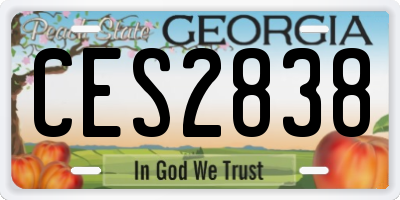 GA license plate CES2838