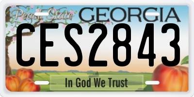 GA license plate CES2843