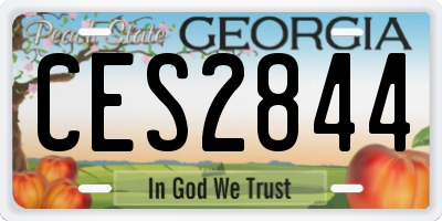 GA license plate CES2844