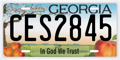 GA license plate CES2845