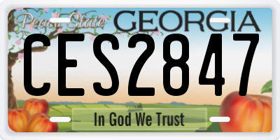GA license plate CES2847