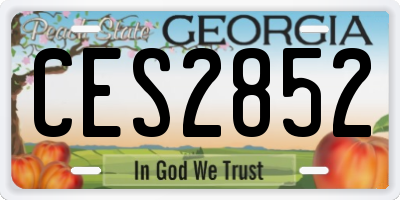 GA license plate CES2852