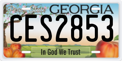 GA license plate CES2853