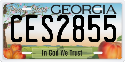 GA license plate CES2855