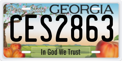 GA license plate CES2863