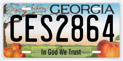 GA license plate CES2864