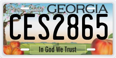 GA license plate CES2865