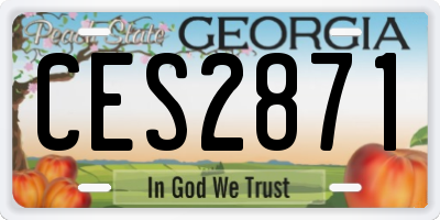 GA license plate CES2871