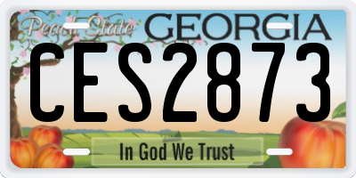 GA license plate CES2873