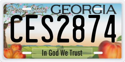GA license plate CES2874
