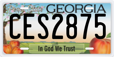 GA license plate CES2875