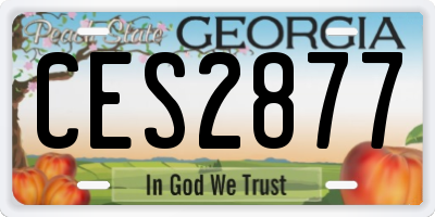 GA license plate CES2877