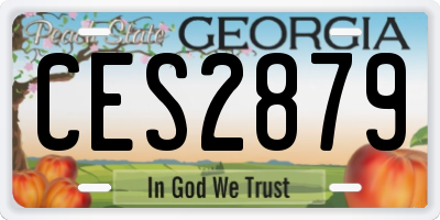 GA license plate CES2879