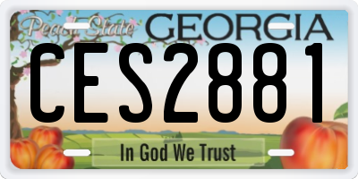 GA license plate CES2881