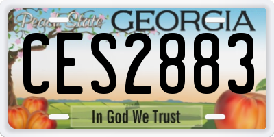 GA license plate CES2883