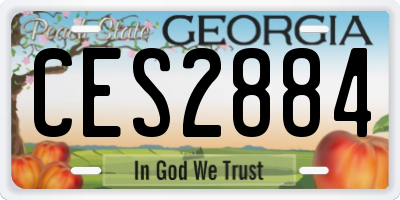 GA license plate CES2884