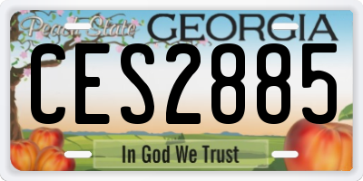GA license plate CES2885