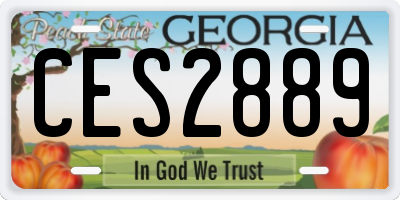 GA license plate CES2889
