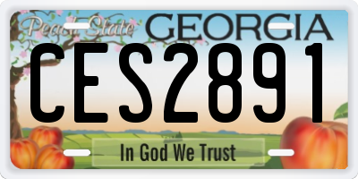 GA license plate CES2891