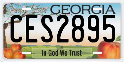 GA license plate CES2895