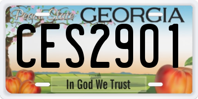 GA license plate CES2901