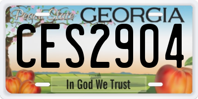 GA license plate CES2904