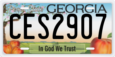 GA license plate CES2907