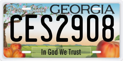 GA license plate CES2908