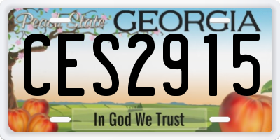GA license plate CES2915