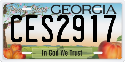 GA license plate CES2917