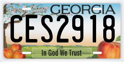 GA license plate CES2918