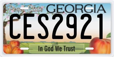 GA license plate CES2921