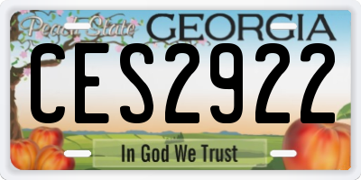 GA license plate CES2922