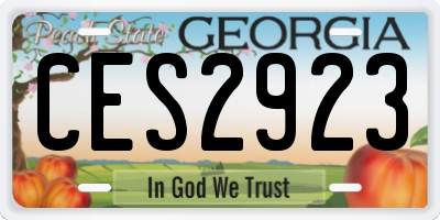 GA license plate CES2923
